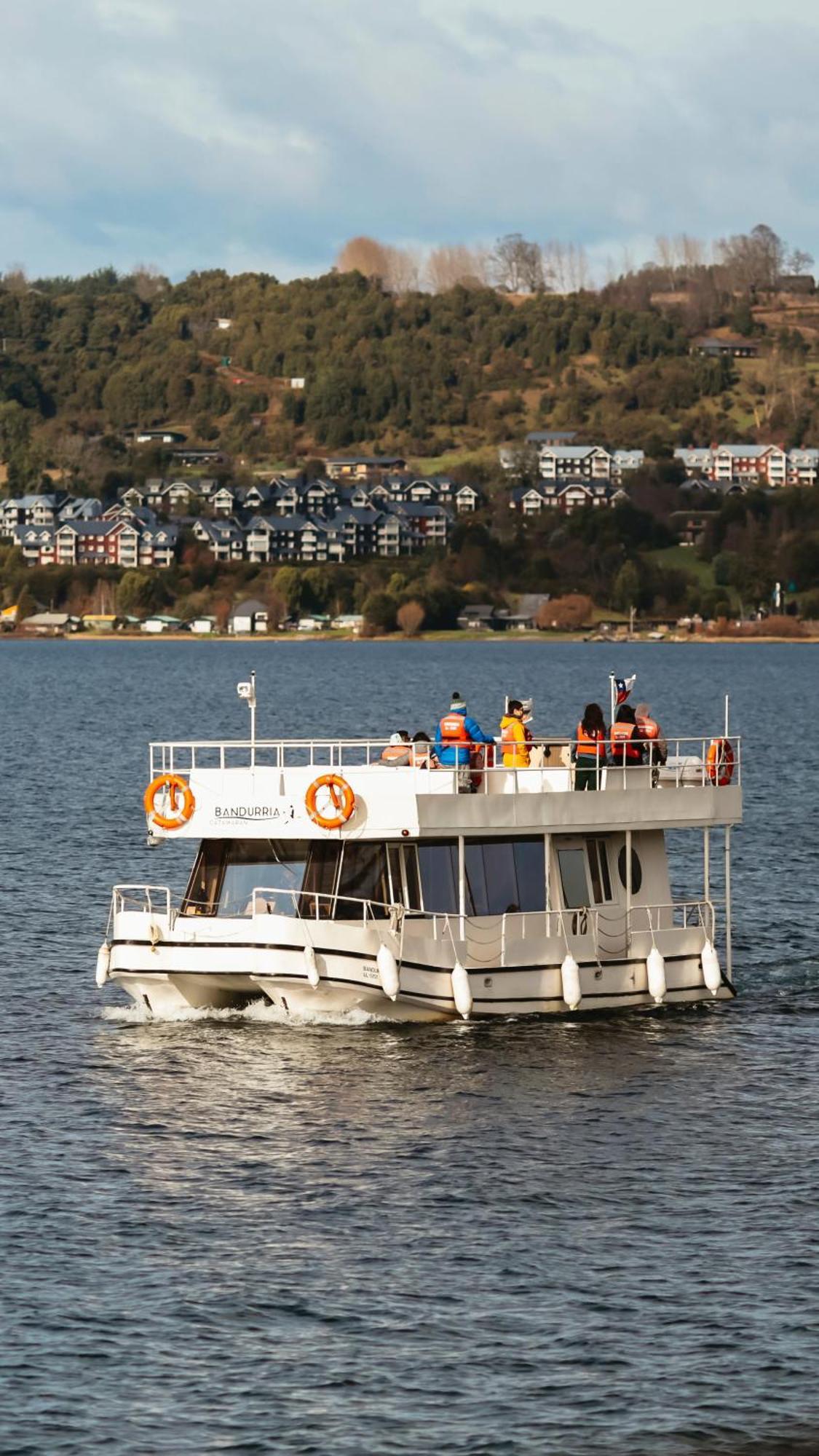 Exquisito Depa Con La Mejor Vista Al Lago Y Tinaja Puerto Varas Buitenkant foto
